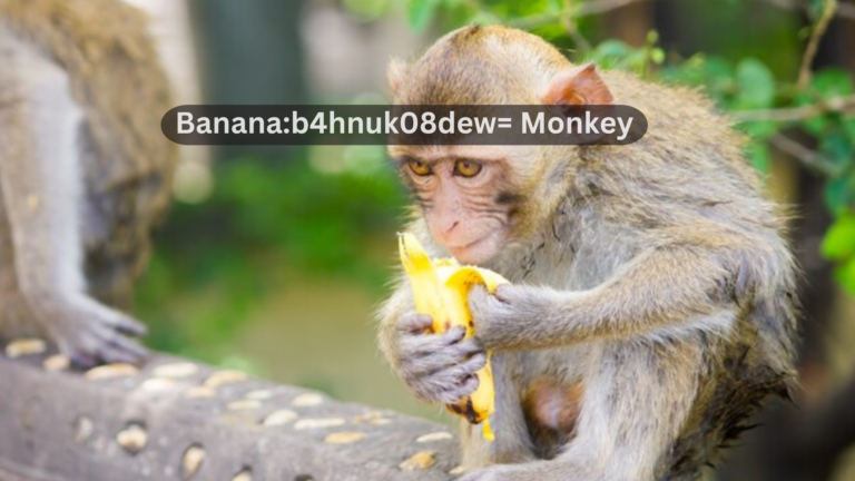 Banana:b4hnuk08dew= Monkey: Exploring the Unique Bond Between Monkeys and Bananas