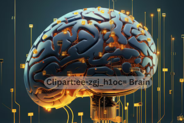 Clipart:ee-zgj_h1oc= Brain