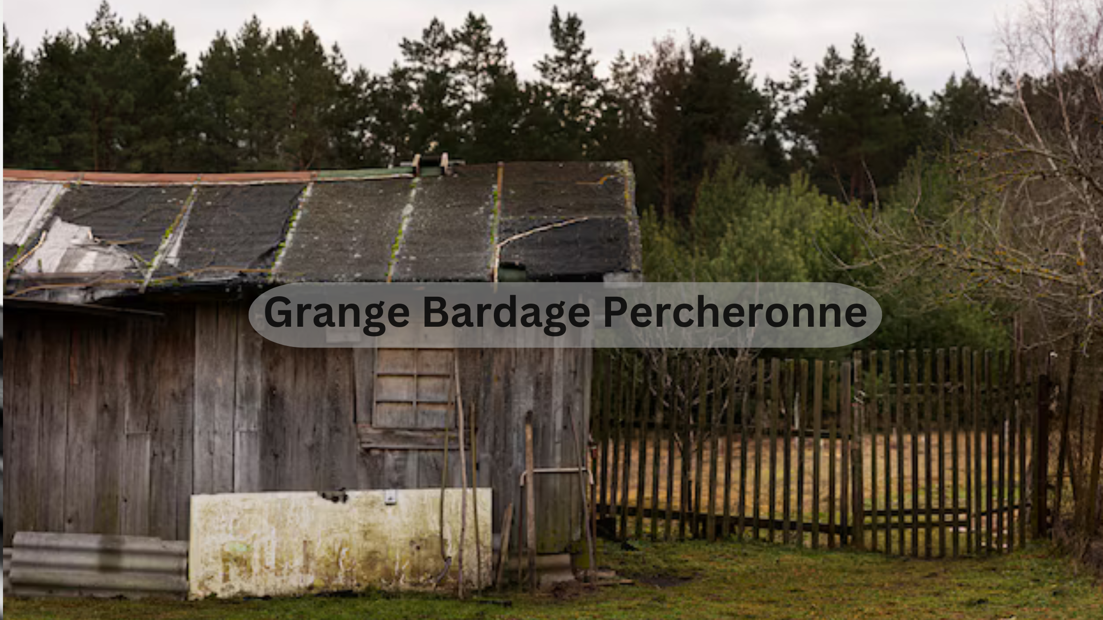 Grange Bardage Percheronne