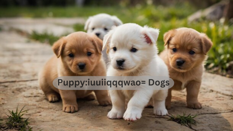 Puppy:iuuiiqqqwao= Dogs: A Comprehensive Guide to Raising and Caring for Your Puppy