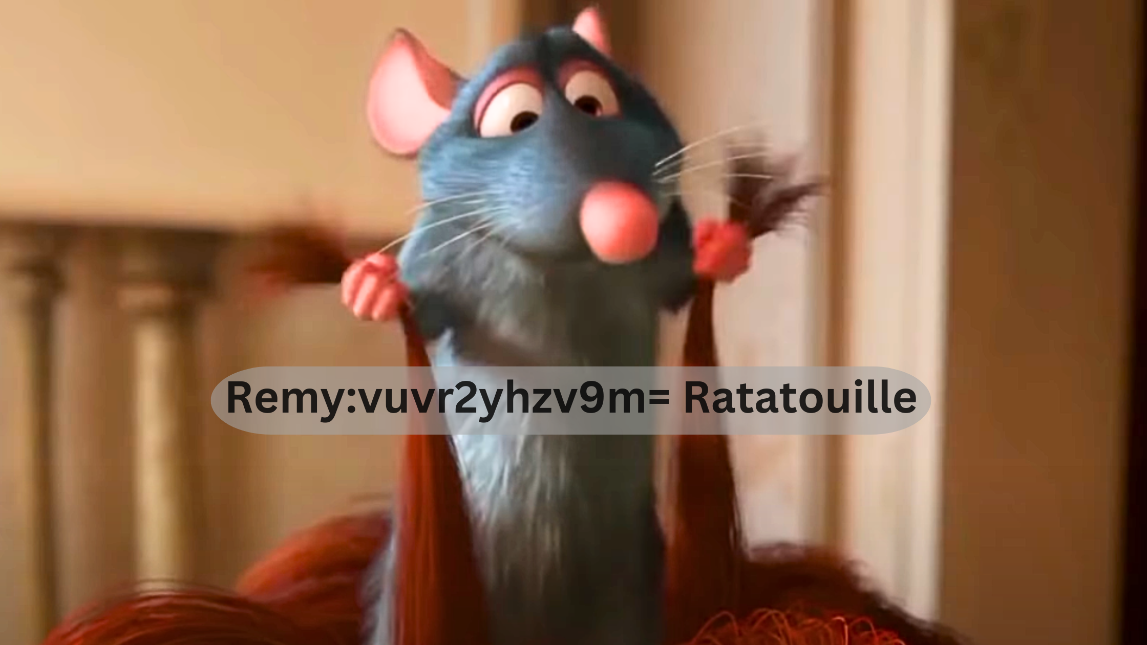 Remy:vuvr2yhzv9m= Ratatouille