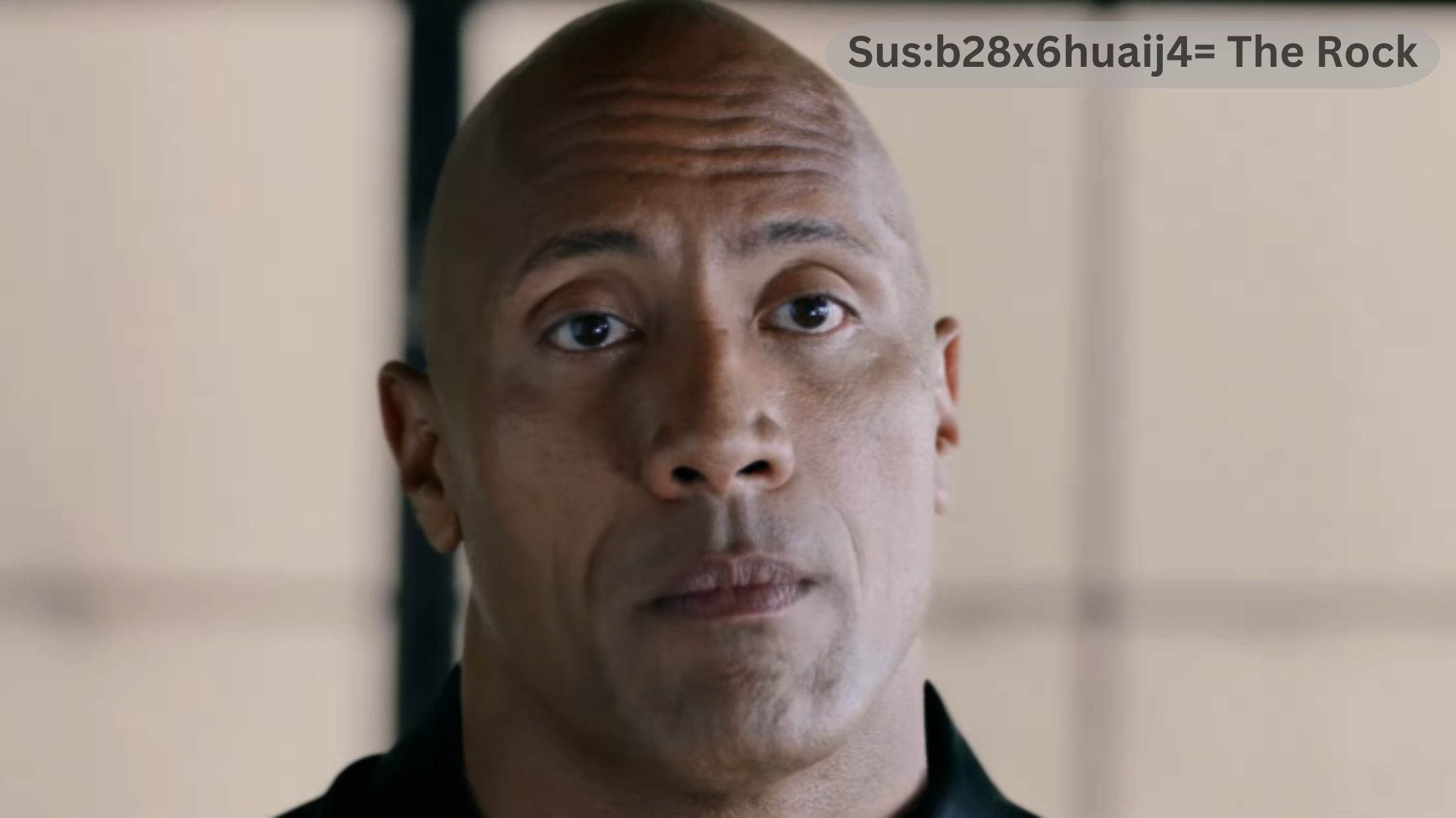 Sus:b28x6huaij4= The Rock