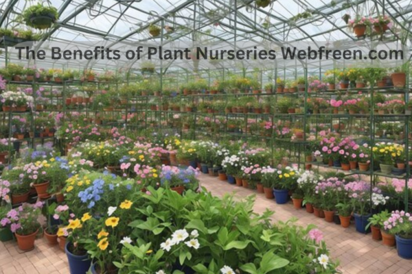 The Benefits of Plant Nurseries Webfreen.com